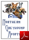 brochure icon
