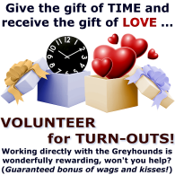 Turn Out Volunteers Needed